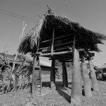 _DSC3025