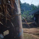 _DSC3037