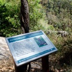 dzieci (1)