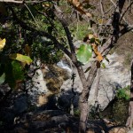 dzieci (2)