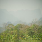 _DSC5016