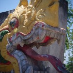 _DSC6050
