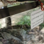_DSC6877