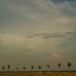 _DSC7504