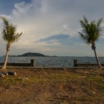 _DSC7508