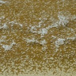 _DSC7688
