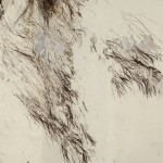 _DSC0104