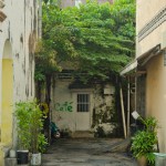_DSC0106