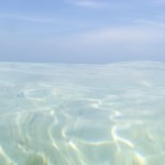 IMG_1719