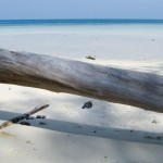 IMG_1770