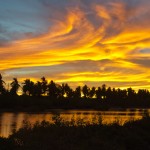 _DSC111 (1)