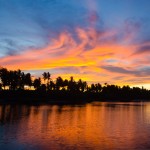 _DSC111 (2)