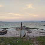 _DSC5534