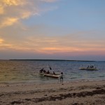 _DSC5544