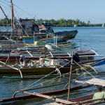 _DSC5636