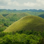 _DSC6341