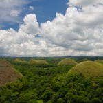 _DSC6354