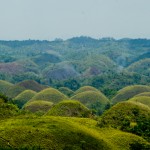 _DSC6365