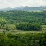 _DSC6368