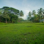 _DSC6613