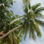 _DSC7364 (1)
