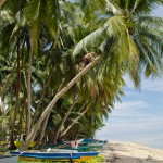 _DSC7364 (3)