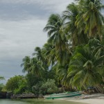 _DSC7459