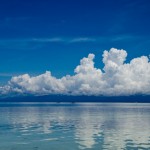 _DSC7585