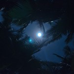 _DSC7746