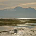 _DSC7776