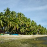 _DSC7783