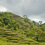 _DSC7951