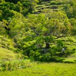 _DSC7973
