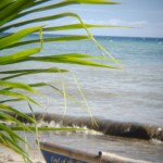 _DSC8210