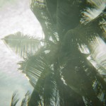 _DSC8224