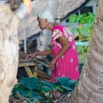_DSC8824