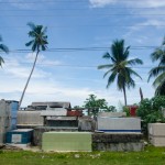 _DSC8973
