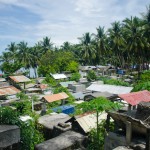 _DSC8974