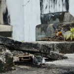 _DSC8997