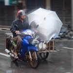_DSC9950